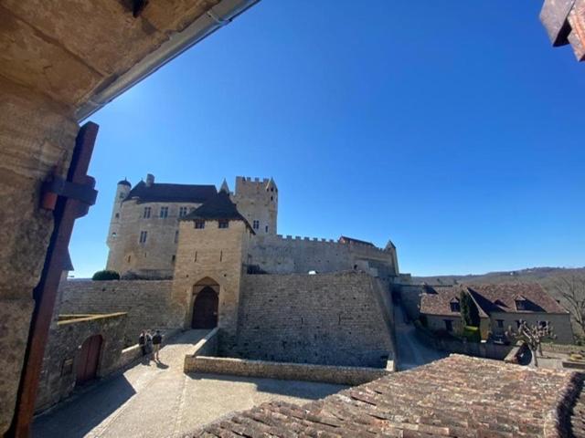 La Croquante Face Au Chateau Beynac-et-Cazenac Esterno foto